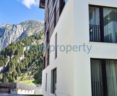 Stilvolle Erdgeschosswohnung mit aussergewöhnlicher Ausstattung