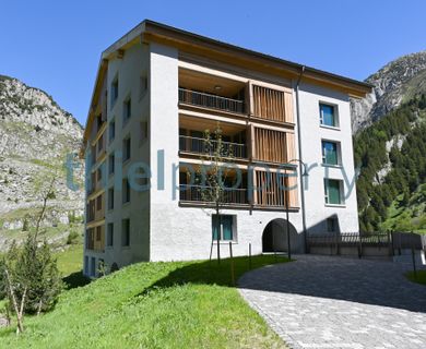 Gemütliche Gartenwohnung mit Blick auf die Reuss